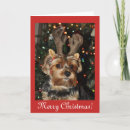 Search for yorkshire terrier christmas cards Cute