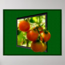 Search for framed print posters Nature