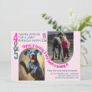Search for dane invitations Dog