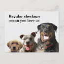 Search for love pets postcards Cute animals