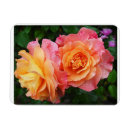 Search for beautiful rose magnets Floral