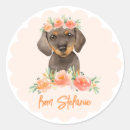 Search for peach watercolor stickers Birthday