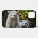 Search for raccoon iphone cases Forest