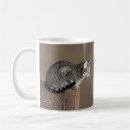 Search for grey tabby cat mugs Pets