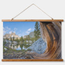 Search for inyo posters Garnet lake