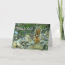 Search for chipmunks cards Photography