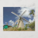 Search for barbados postcards Tropical