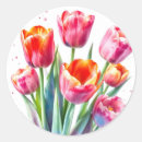 Search for white tulips stickers Botanical