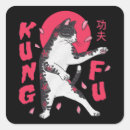 Search for kung fu stickers Taekwondo