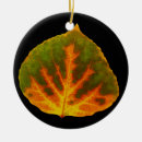 Search for aspen christmas tree decorations Orange