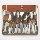 Search for draught mousepads Clydesdale