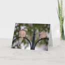 Search for dove blank cards Doves