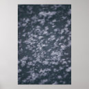 Search for flake posters Winter