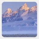 Search for np stickers Wildlife