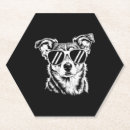 Search for border collie coasters Dog lover