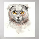 Search for cat breed posters Cute