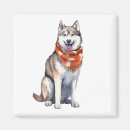 Search for siberian husky magnets Cute