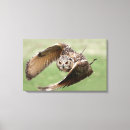 Search for eagle canvas prints Brown