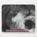 Search for bully electronics Animal