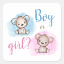 Search for baby boy seals envelope seals Gender reveal