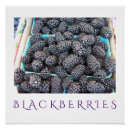 Search for kitchen decor posters Cooking
