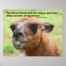 Search for anger photography Animals