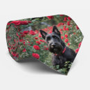 Search for black haired ties Dog