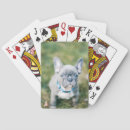 Search for frenchy playing cards French bulldog