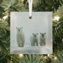 Search for holiday polar bear christmas tree decorations Animal