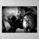 Search for filly posters Equine