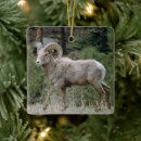 Search for horn christmas tree decorations Wildlife