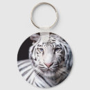 Search for bengal cat key rings White bengal tiger