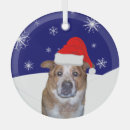 Search for blue heeler christmas tree decorations Pet