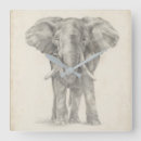 Search for elephant clocks Africa