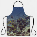 Search for coral reef aprons Fish