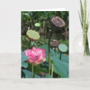 Search for pod cards Flower