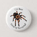 Search for invertebrate badges Insect