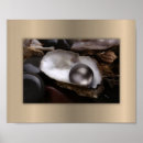 Search for oyster posters Coastal