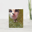 Search for combination cards Blue