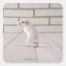 Search for rodent stickers Humour