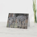 Search for funny zebra cards Stripes