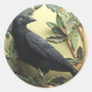 Search for the crow stickers Black
