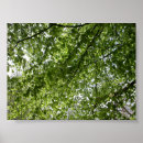 Search for kew posters London