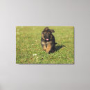 Search for full length canvas prints Outdoors