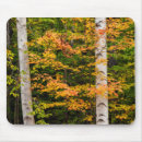 Search for collins mousepads Maple
