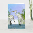 Search for great white egret cards Heron