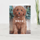 Search for labradoodle birthday cards Veterinarian