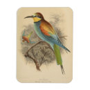 Search for eater magnets Bird