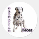 Search for dalmation stickers Dalmatian