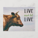 Search for vegan postcards Animal lover